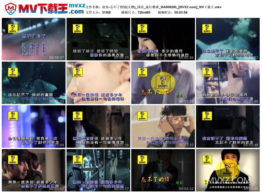 赵真-忘不了的情(人物)_国语_流行歌曲_MA508290